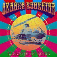 Orange Sunshine : Bullseye of Being Orange Sunshine : Bullseye of Being